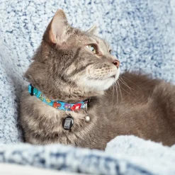 Max & Molly Smart ID Cat Collar - Little Monsters Sale