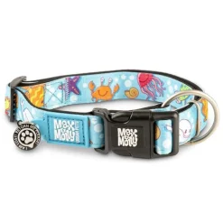 Max & Molly Smart ID Dog Collar - Blue Ocean Best