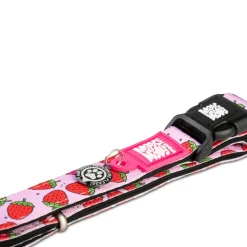 Max & Molly Smart ID Dog Collar - Strawberries Clearance