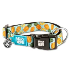 Max & Molly Smart ID Dog Collar - Sweet Pineapple Discount