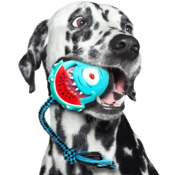 Max & Molly Squeaker Snuggles Dog Toy - Bubba King Fashion