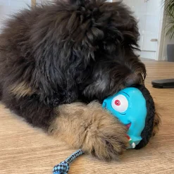 Max & Molly Squeaker Snuggles Dog Toy - Bubba King Fashion