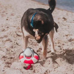 Max & Molly Squeaker Snuggles Dog Toy - Frenzy the Shark Hot