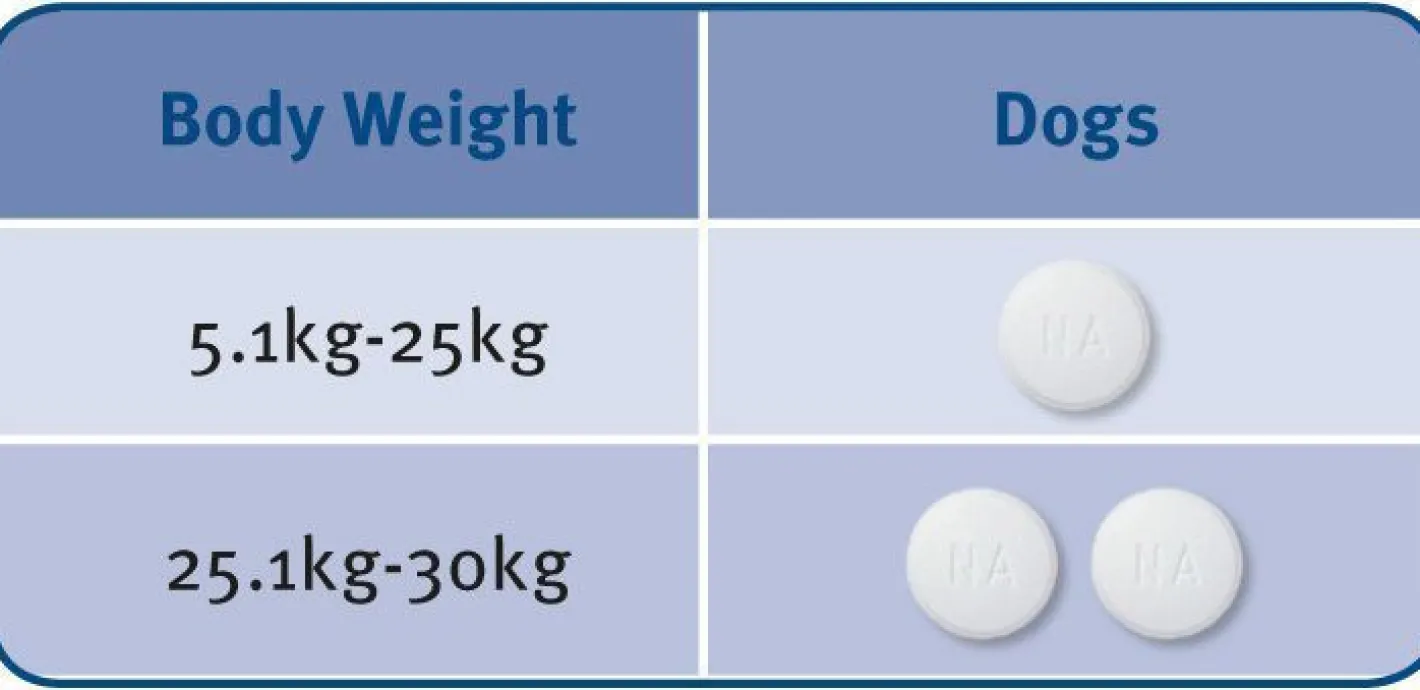 Milbemax Intestinal All-Wormer for Dogs 5-25kg - Pack of 2 Tablets Hot