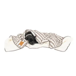 Mog and Bone Mog & Bone Soft Reversible Pet Blanket Latte Hamptons Stripe Outlet