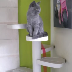 Monkee Tree - The Scalable Cat Climbing Ladder 12 Trunk Starter Pack Outlet