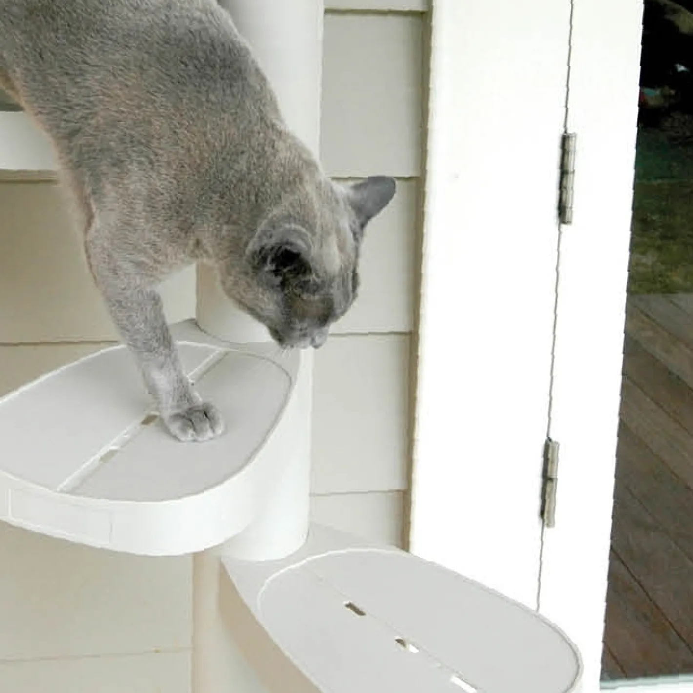 Monkee Tree - The Scalable Cat Climbing Ladder 12 Trunk Starter Pack Outlet