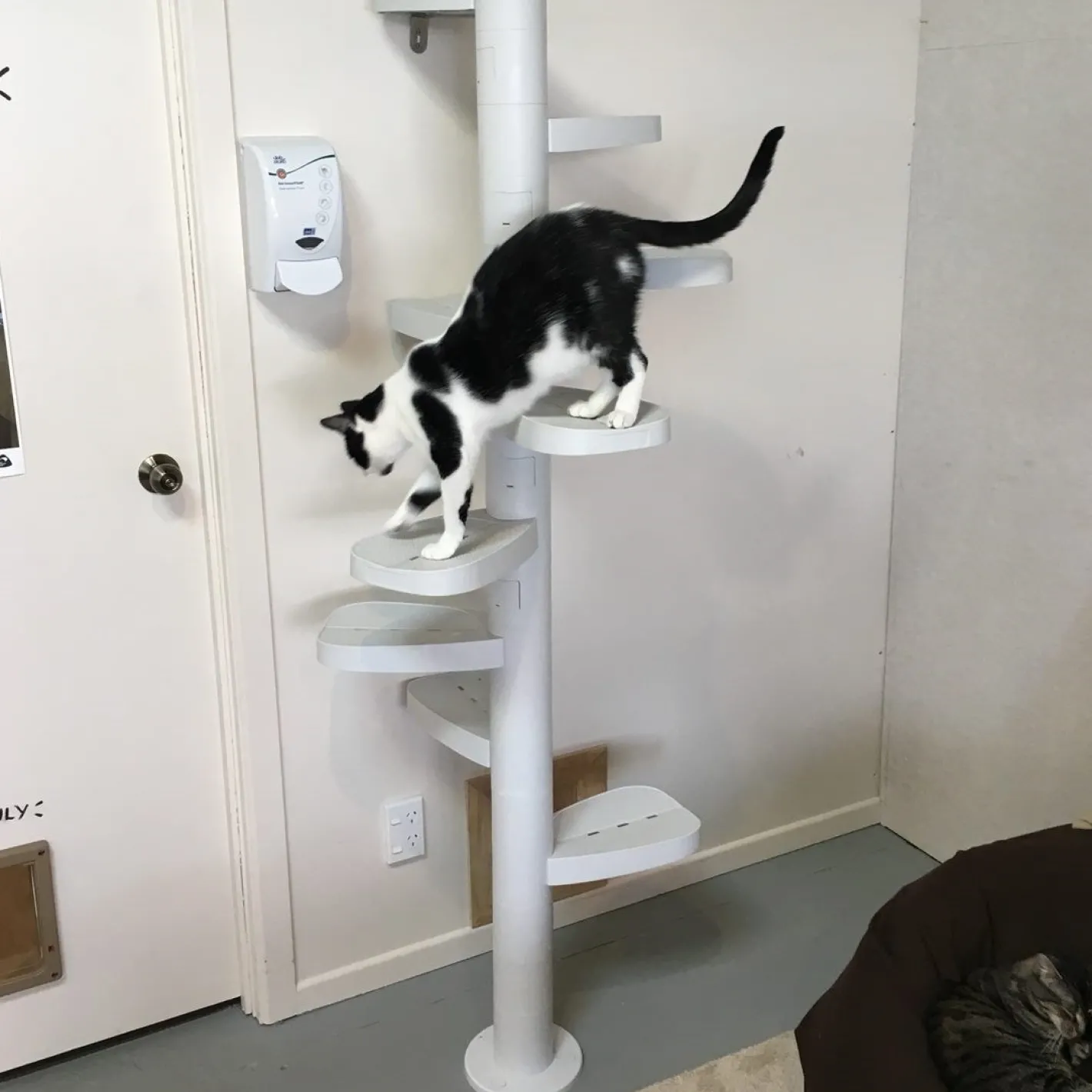 Monkee Tree - The Scalable Cat Climbing Ladder 12 Trunk Starter Pack Outlet