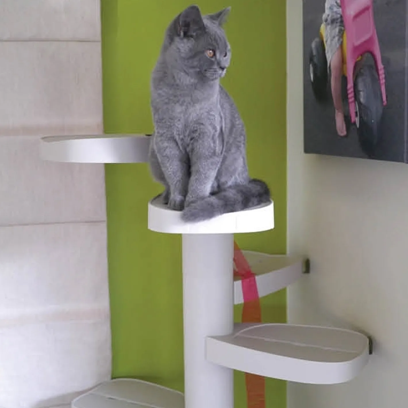 Monkee Tree - The Scalable Cat Climbing Ladder 18 Trunk Starter Pack Fashion