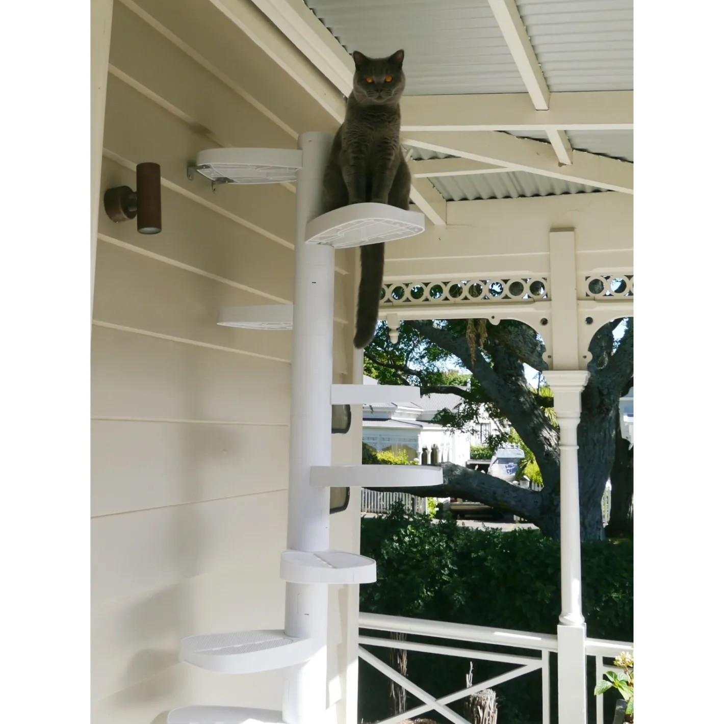 Monkee Tree - The Scalable Cat Climbing Ladder 18 Trunk Starter Pack Fashion