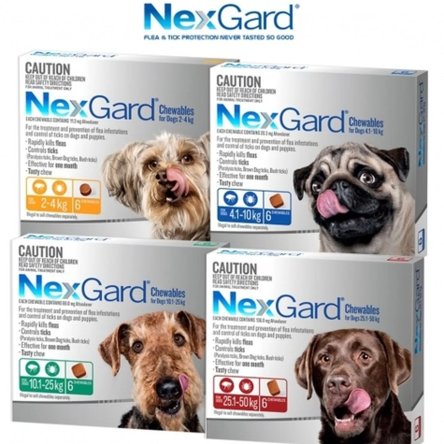 Nexgard Flea & Tick Chew for Dogs - 6 Pack Discount