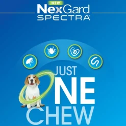 Nexgard Spectra Flea, Tick, Heart & All-Wormer Chew for Dogs 2-3.5kg Fashion