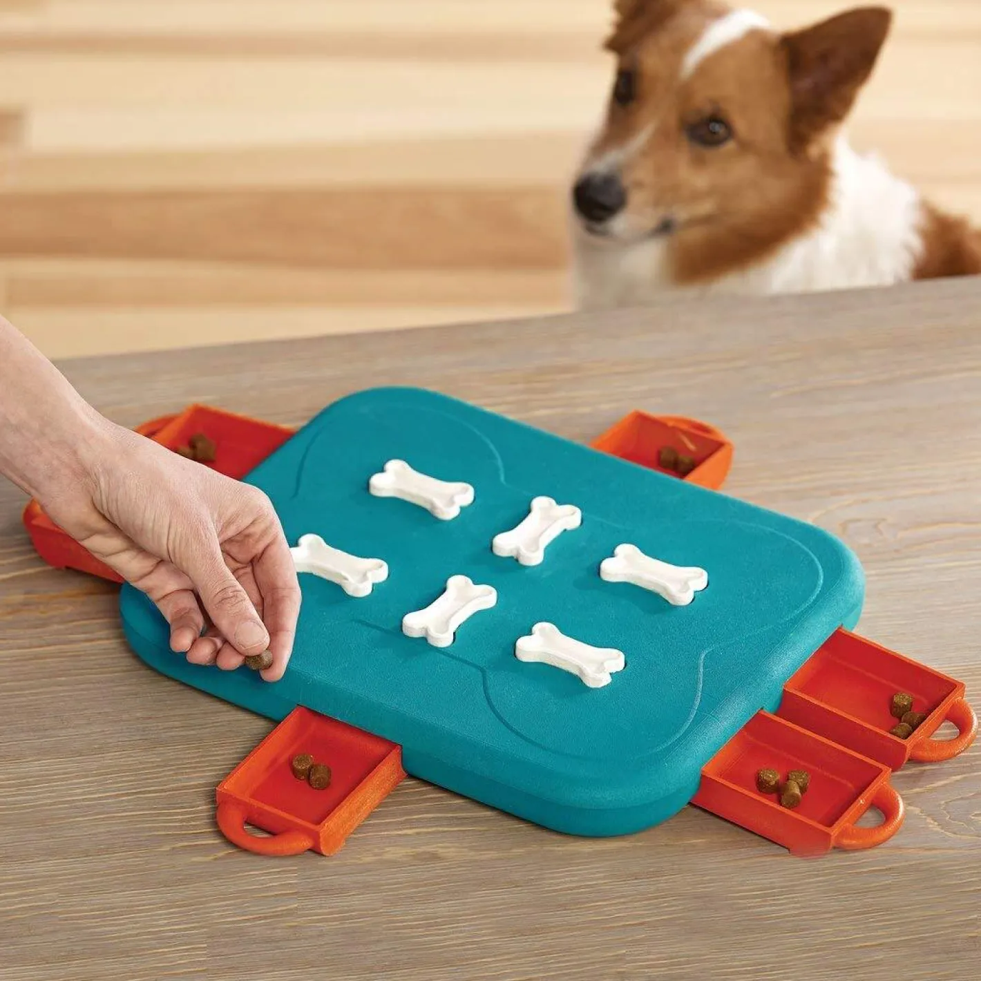 Nina Ottosson Casino High Level Interactive Puzzle & Toy for Dogs & Cats Best