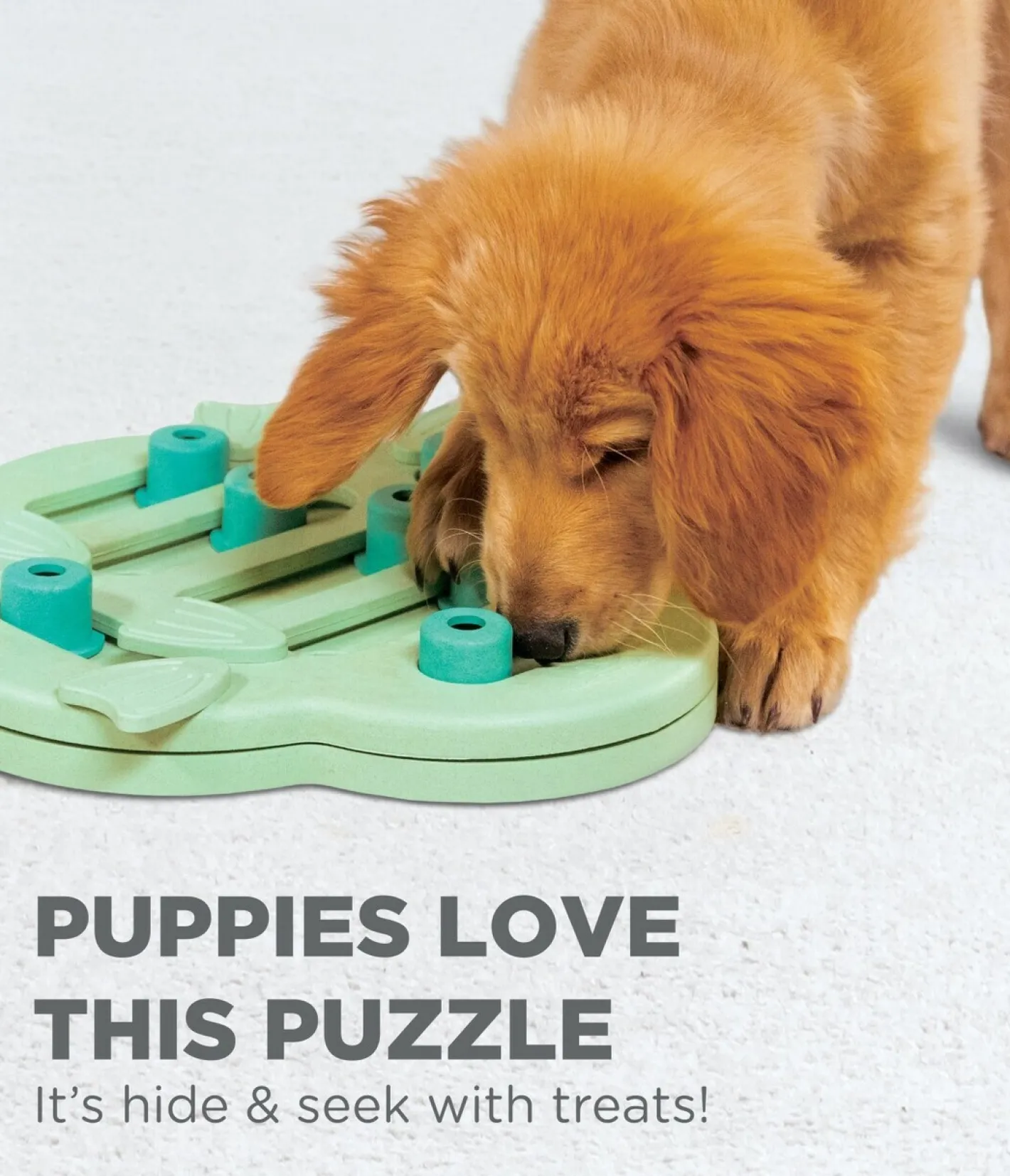 Nina Ottosson Hide & Slide Interactive Puzzle Dog Toy for Puppies - Level 2 Clearance