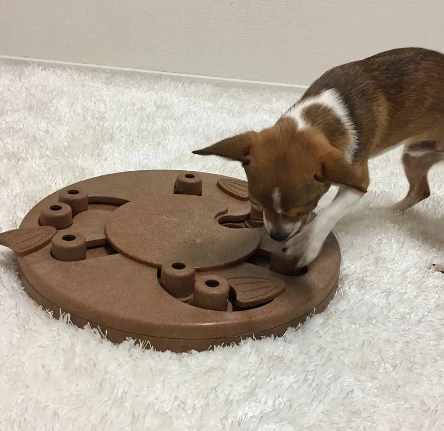 Nina Ottosson Interactive Dog Toy - Dog Worker in Wooden Composite Sale