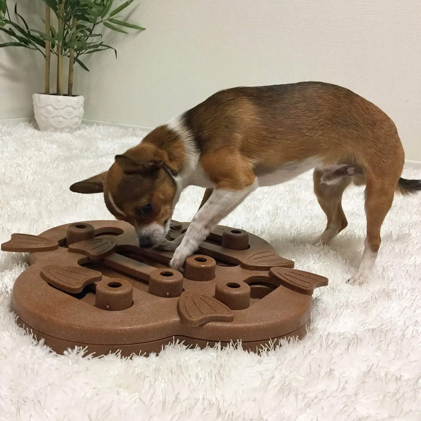Nina Ottosson Smart Interactive Dog Toy - Dog Hide N Slide in Wooden Composite Hot