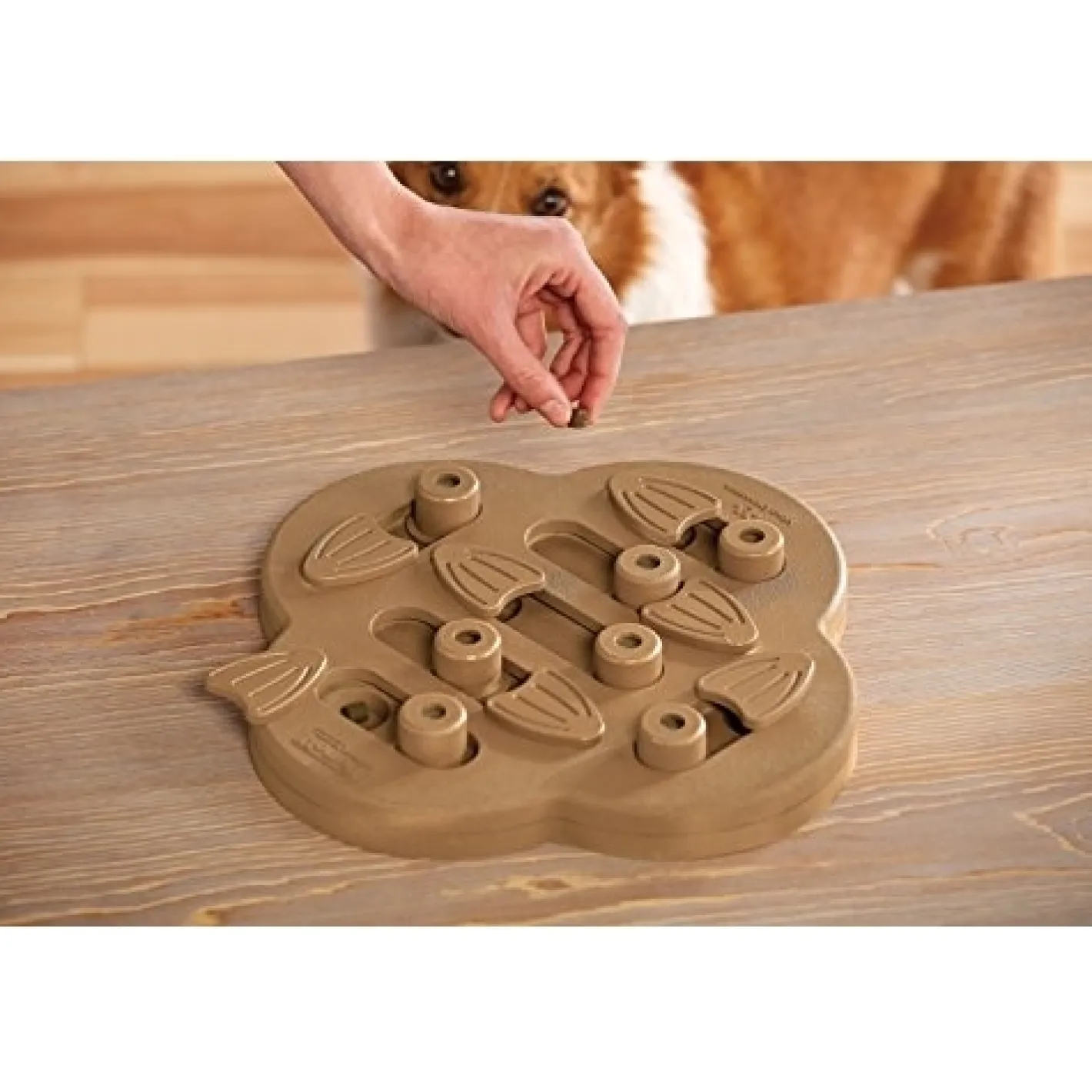 Nina Ottosson Smart Interactive Dog Toy - Dog Hide N Slide in Wooden Composite Hot