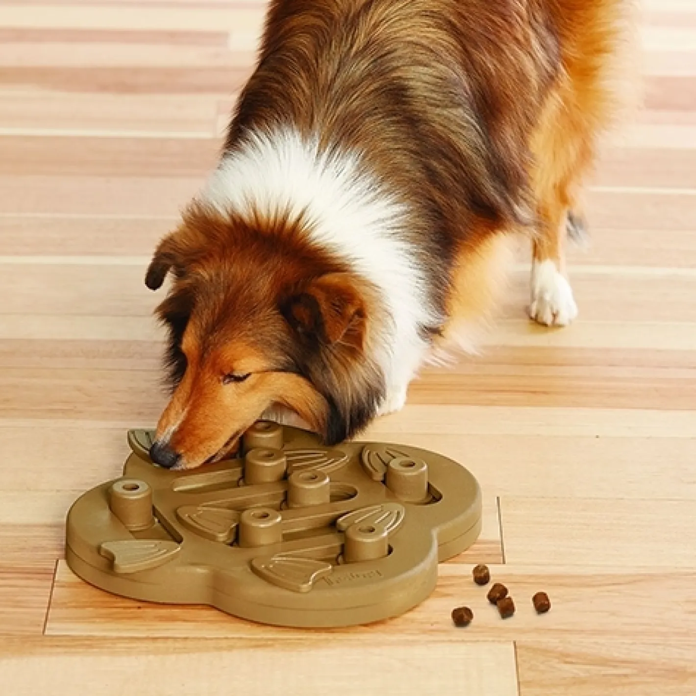 Nina Ottosson Smart Interactive Dog Toy - Dog Hide N Slide in Wooden Composite Hot