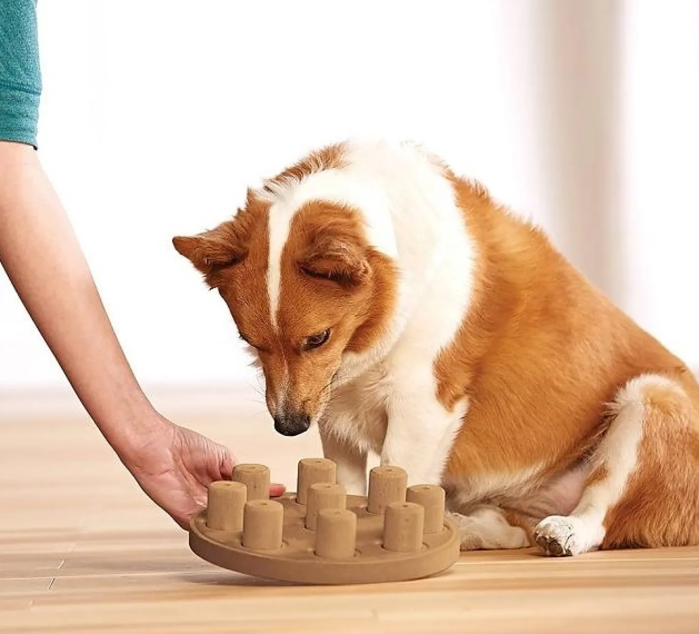 Nina Ottosson Smart Interactive Dog Toy in Wooden Composite Hot
