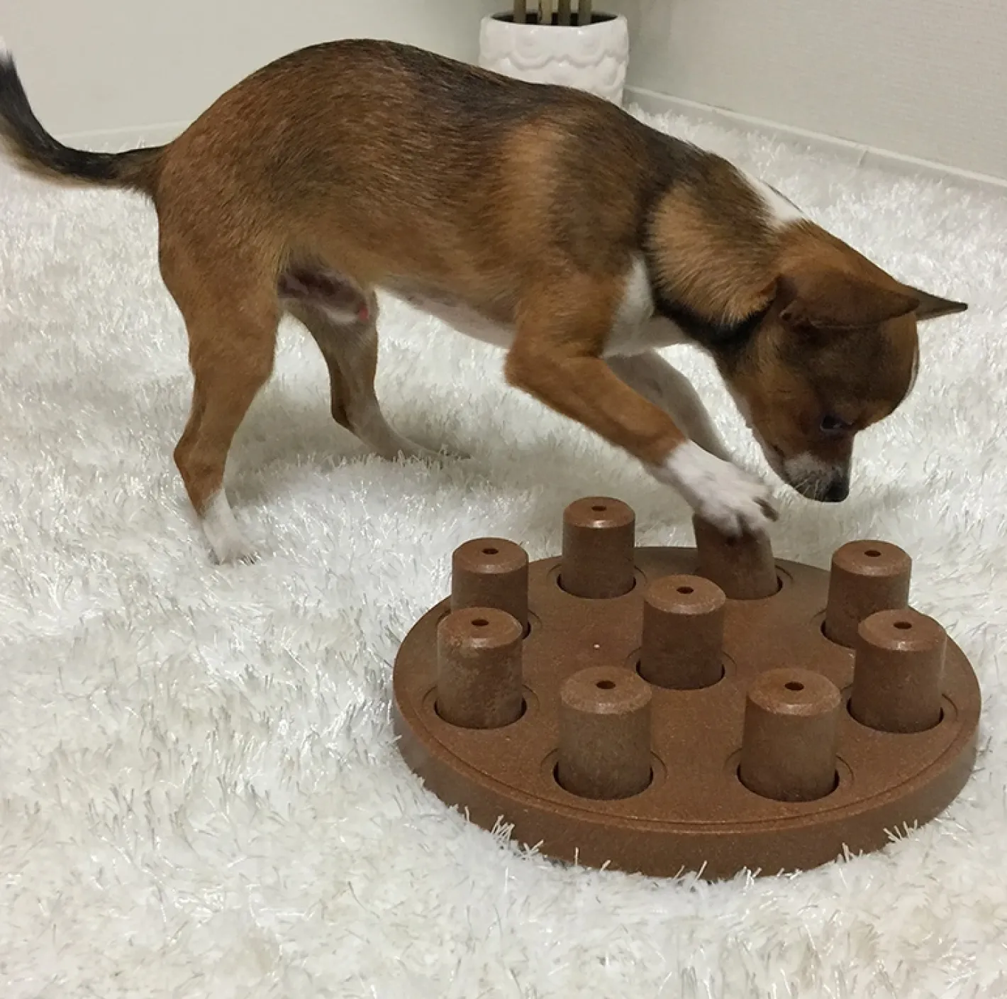 Nina Ottosson Smart Interactive Dog Toy in Wooden Composite Hot