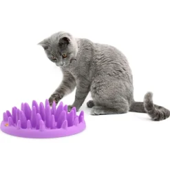 Northmate Catch Interactive Slow Food Cat Bowl Sale
