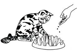 Northmate Catch Interactive Slow Food Cat Bowl Sale
