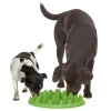 Northmate Green Interactive Slow Food Dog Bowl Sale