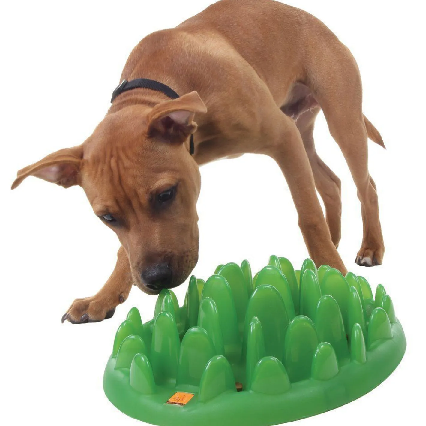 Northmate Green Interactive Slow Food Dog Bowl Sale