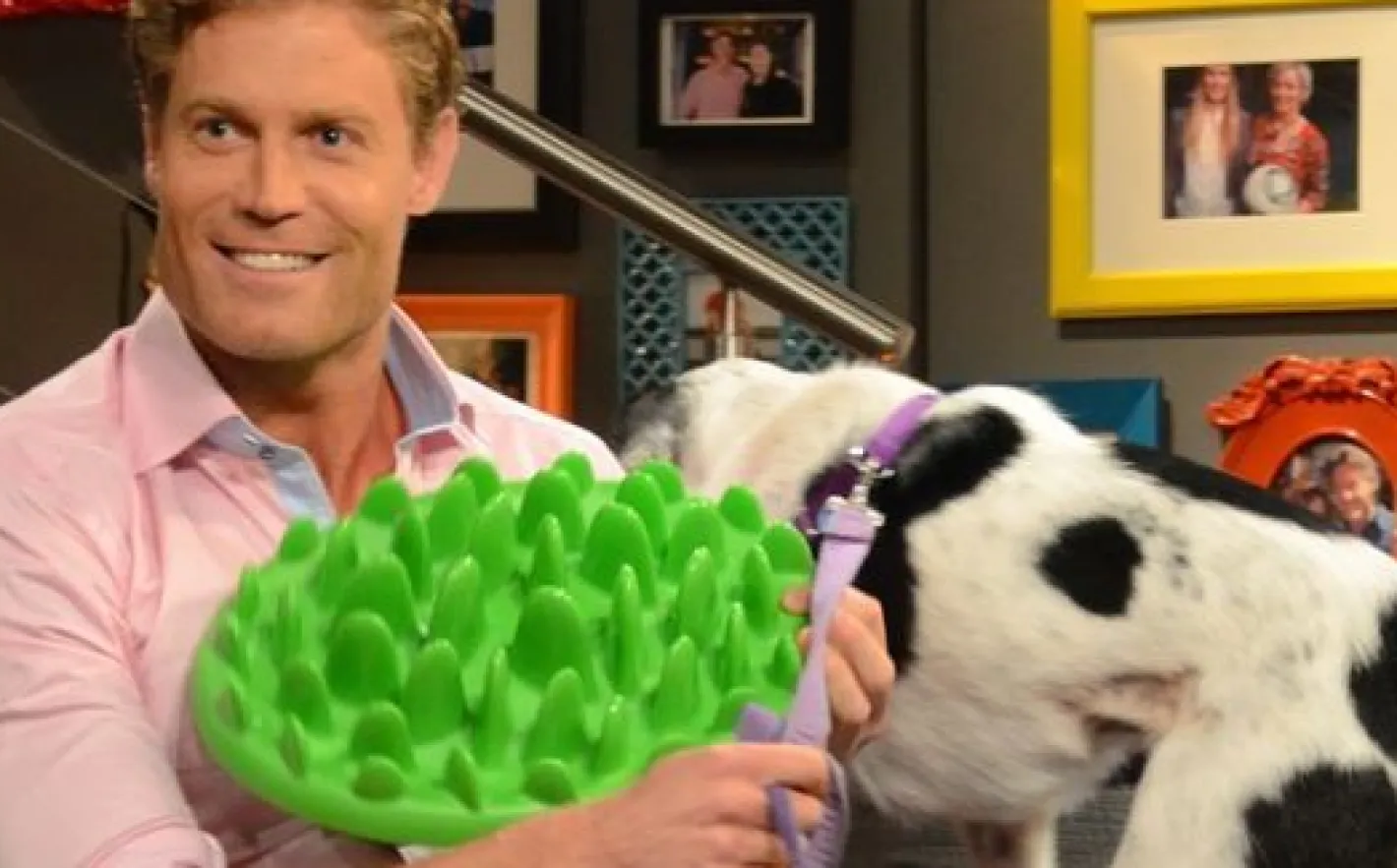 Northmate Green Interactive Slow Food Dog Bowl Sale