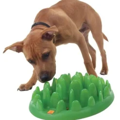 Northmate Green Mini Interactive Slow Food Dog Bowl New