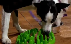 Northmate Green Mini Interactive Slow Food Dog Bowl New