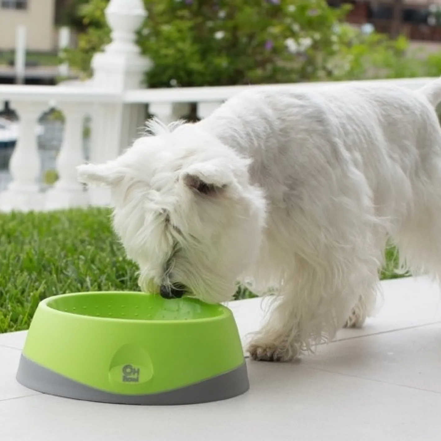 Lickimat Oh Bowl Slow Food Tongue Cleaning Dog Food Bowl - Green Clearance