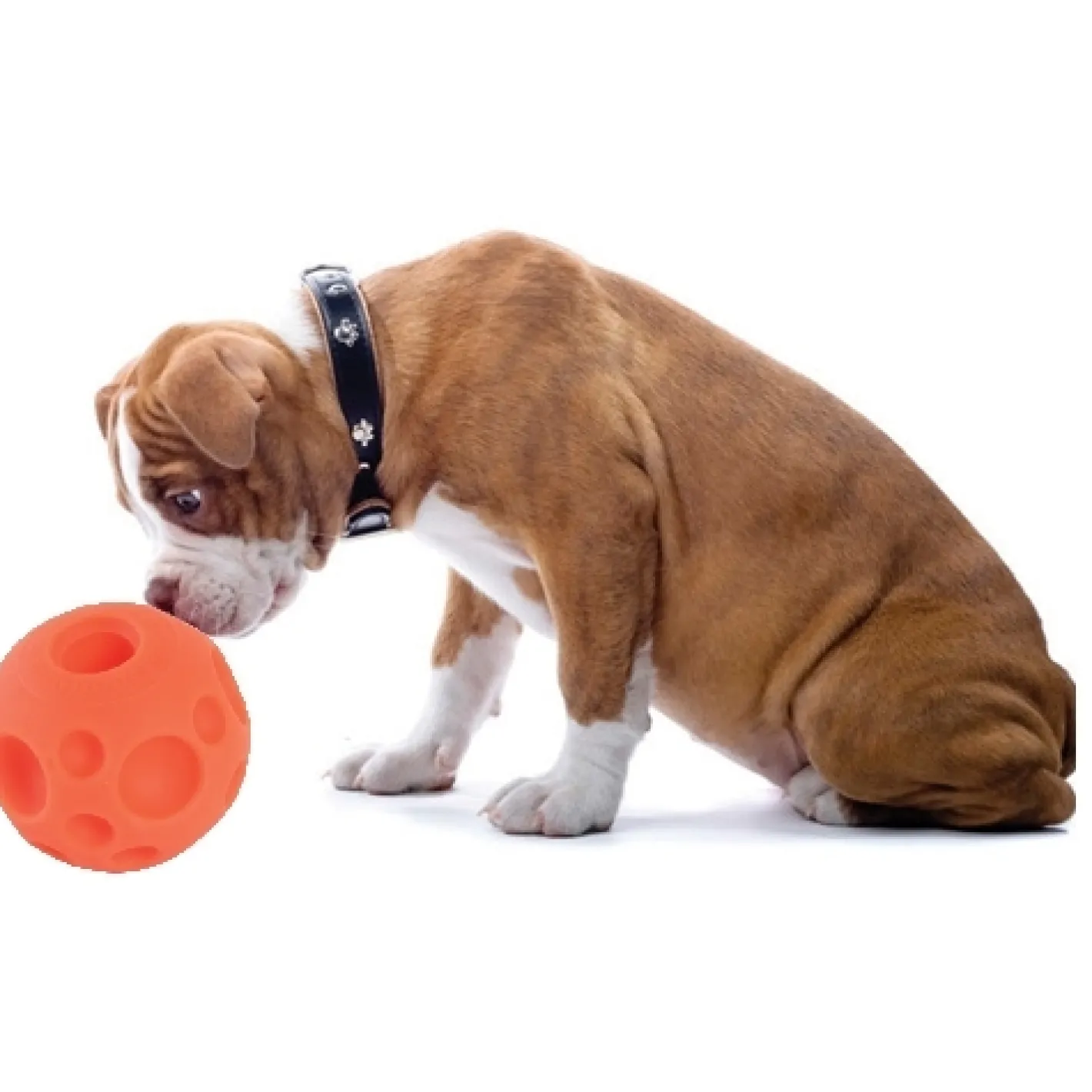 Omega Paw Tricky Treat Ball Treat & Food Dispensing Dog Toy Discount