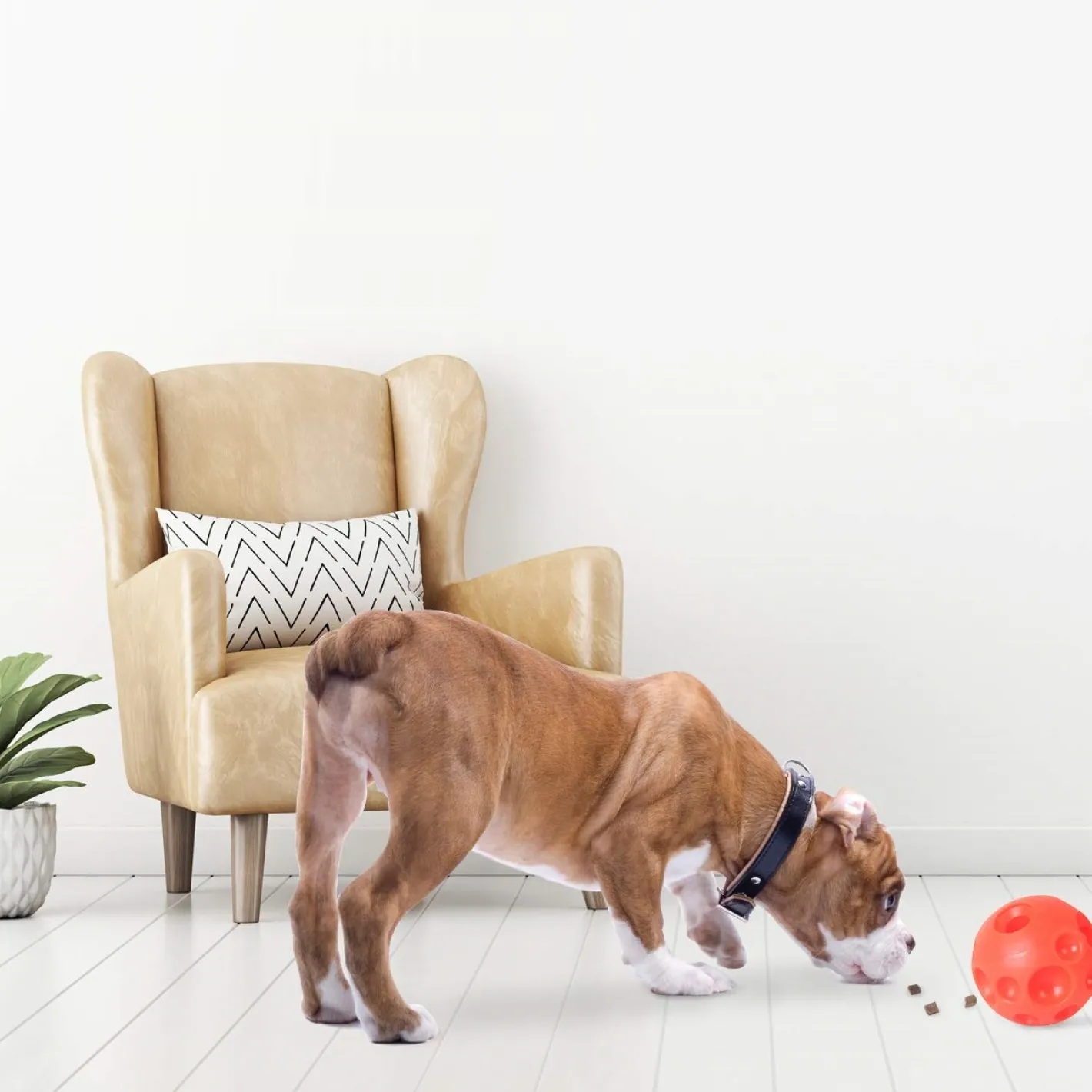 Omega Paw Tricky Treat Ball Treat & Food Dispensing Dog Toy Discount
