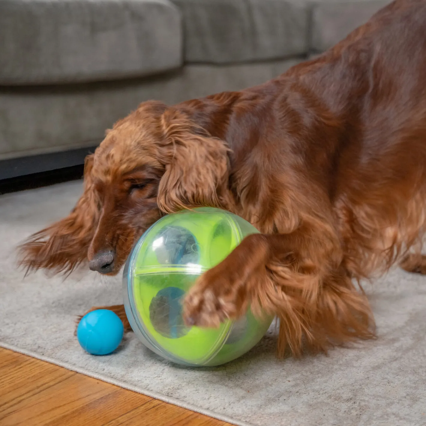 Outward Hound A-Maze Ball Dog Puzzle Treat Ball Dog Enrichment Toy Clearance