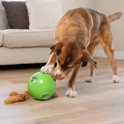 Outward Hound Dog Snuffle N' Treat Ball Puzzle with 6 Plush Chipmunks Online