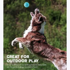 Outward Hound Fetch Squeaker Ballz Dog Toy - Pack of 2 Large Outlet