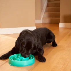 Outward Hound Fun Feeder Interactive Slow Bowl for Dogs - Teal Drop Fashion