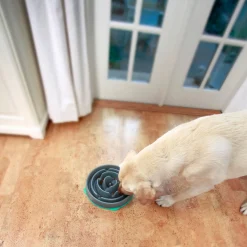 Outward Hound Fun Feeder Interactive Slow Bowl for Dogs - Teal Drop Fashion