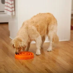 Outward Hound Fun Feeder Slow Bowl for Dogs - Orange Coral Maze Fashion