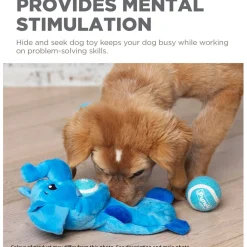 Outward Hound Hide-a-Ball Hogz Dog Toy - Piggy with 3 Tennis Balls Best