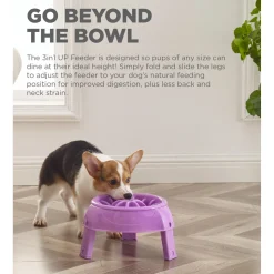 Outward Hound 3-in-1 Up Height Adjustable Dog Bowl Hot