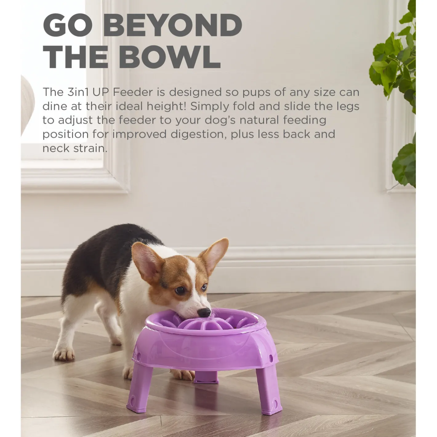 Outward Hound 3-in-1 Up Height Adjustable Dog Bowl Hot