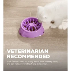 Outward Hound 3-in-1 Up Height Adjustable Dog Bowl Hot
