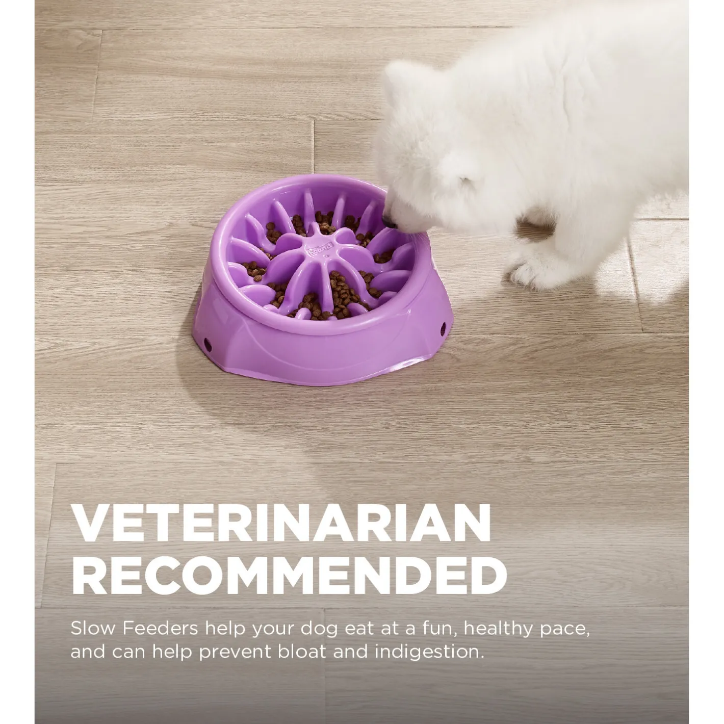Outward Hound 3-in-1 Up Height Adjustable Dog Bowl Hot