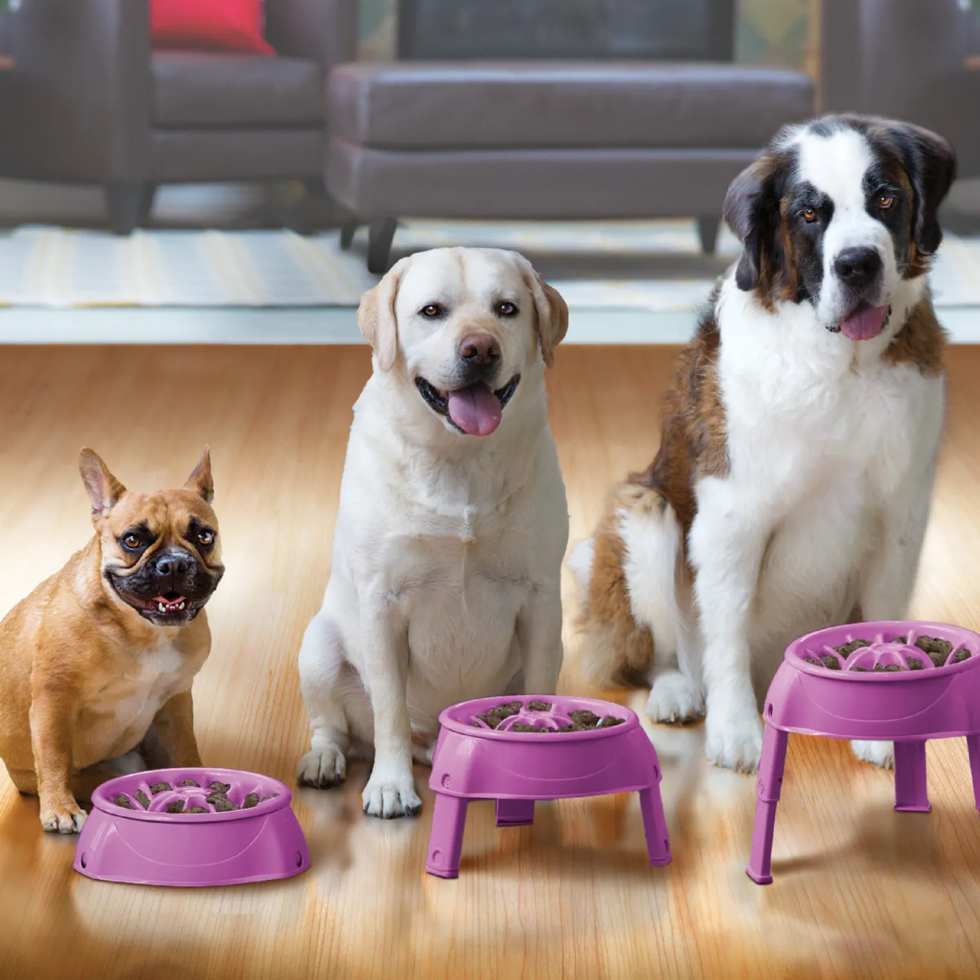 Outward Hound 3-in-1 Up Height Adjustable Dog Bowl Hot