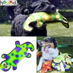 Outward Hound Invincibles Plush Low Stuffing Squeaker Dog Toy - Green Gecko Best