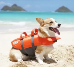 Outward Hound "Granby Splash" Life Vest Jacket for Dogs *New Design Clearance