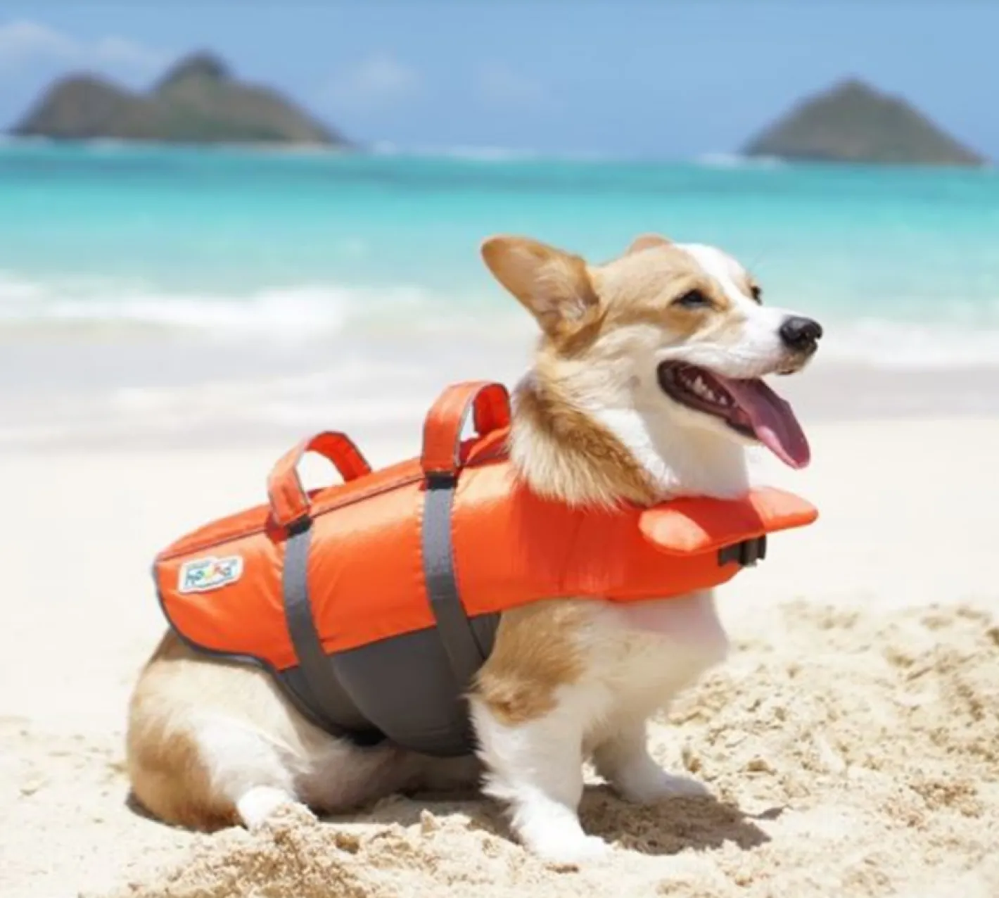 Outward Hound "Granby Splash" Life Vest Jacket for Dogs *New Design Clearance