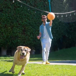 Outward Hound Thrower Chuckit Tennis Ball Launcher for Dogs Best